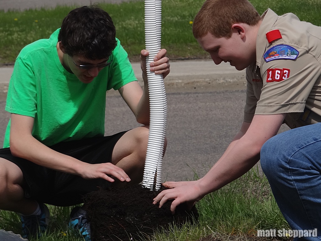 Scouts in action at Arbor Day